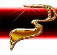 Designs By Michael is a Web Site